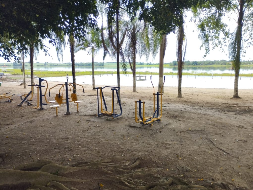 R Jacarandás,