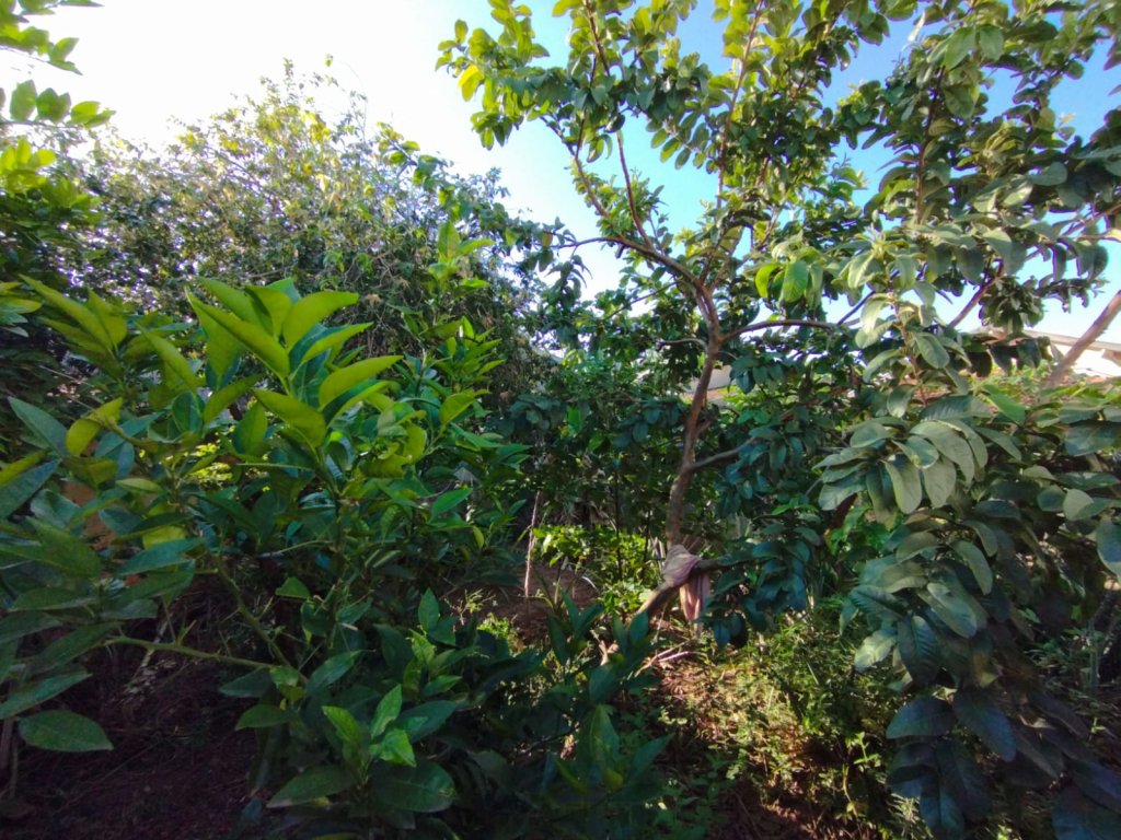 Av. Minas Gerais, 67