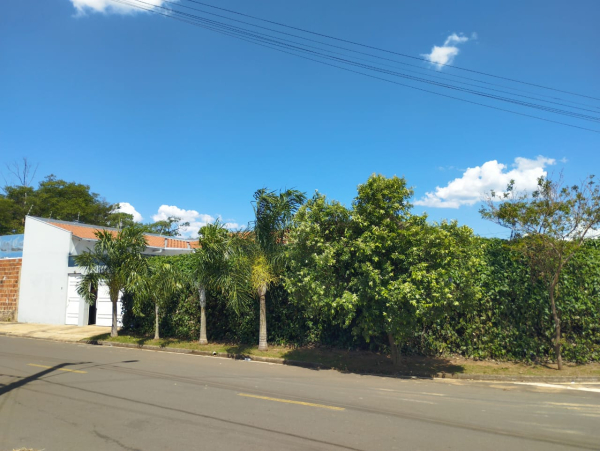 Av Elisio Benante, 594